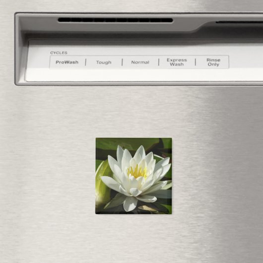 Aimant Nénuphar blanc et bud Floral (In Situ (Lave-vaisselle))