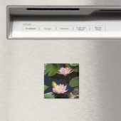 Aimant Nénuphar de Lotus rose (In Situ (Lave-vaisselle))