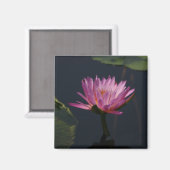 Aimant Nénuphar de Lotus violet rose (Recto/Verso)