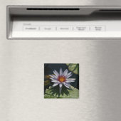 Aimant Nénuphar Lotus blanc (In Situ (Lave-vaisselle))