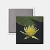 Aimant Nénuphar Lotus jaune (Recto/Verso)