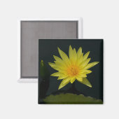 Aimant Nénuphar Lotus jaune (Recto/Verso)