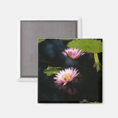 Aimant Nénuphar rose violet Lotus (Recto/Verso)