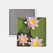 Aimant Nénuphars (Recto/Verso)