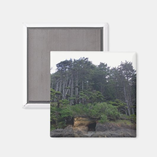 Aimant Neptune State Park, OU (Recto/Verso)