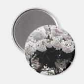 Aimant Ner (Recto/Verso)