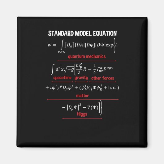 Aimant Nerdy Standard Model Equation - Cadeau Pour Physiq (Devant)