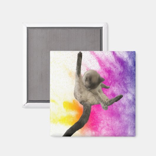 Aimant Nettoyage (Recto/Verso)