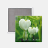 Aimant Nettoyer l'aimant cardiaque (Recto/Verso)