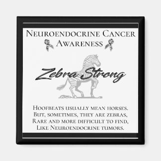 Aimant Neuroendocrine Cancer Sensibilisation Zebra Fort