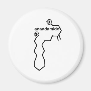 Aimant Neurotransmetteur Anandamide