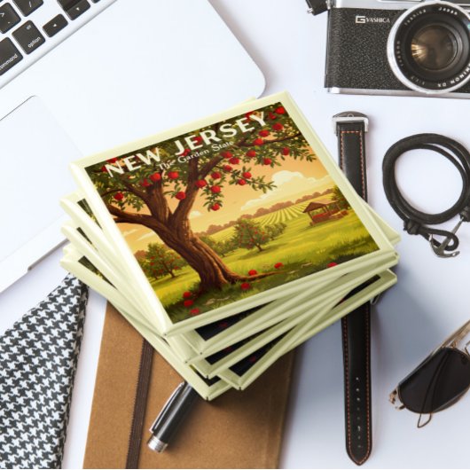 Aimant New Jersey vintage