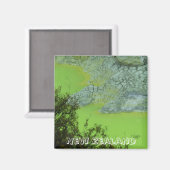 Aimant New Zealand Thermal Wonders (Recto/Verso)