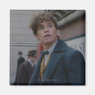 Aimant NEWT SCAMANDER™ À Londres Photo