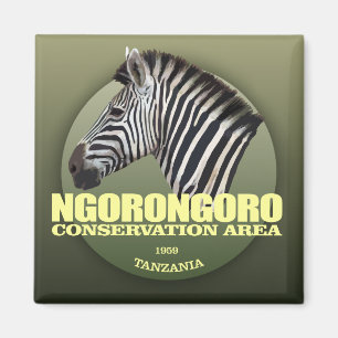 Aimant Ngorongoro (zèbre)