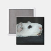 Aimant Nibbler (Recto/Verso)