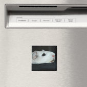 Aimant Nibbler (In Situ (Lave-vaisselle))