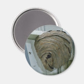 Aimant Nid Hornets (Recto/Verso)