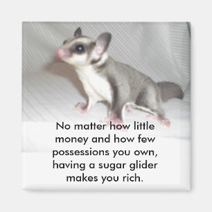 Aimant N'importe comment peu d'argent et comment Fe…