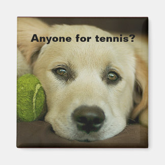 Aimant N'importe qui pour le tennis, golden retriever.