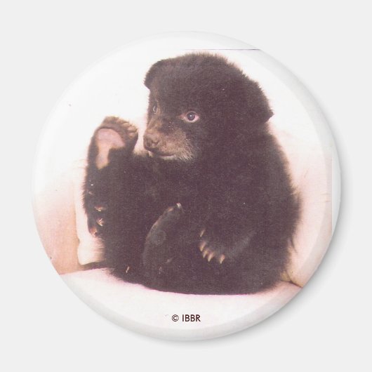 Aimant Nipper (Devant)