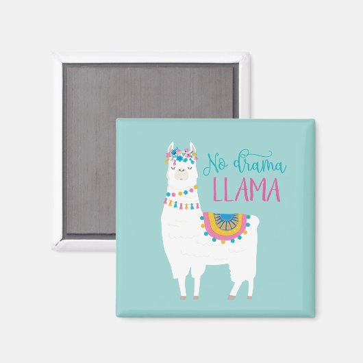 Aimant No Drama (Recto/Verso)