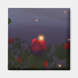 Aimant nocturne d'été