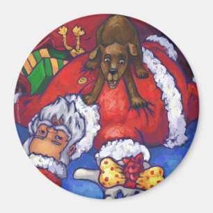 Aimant Noël