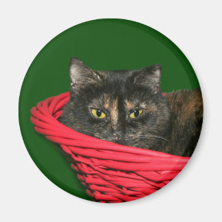 Aimant Noël à Toristeshell