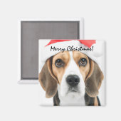 Aimant Noël beagle (Recto/Verso)