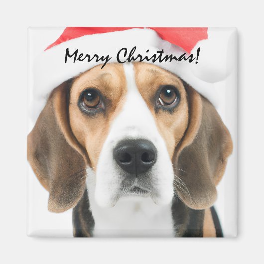 Aimant Noël beagle (Devant)