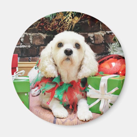Aimant Noël - Bichon Frise X - Maya (Devant)