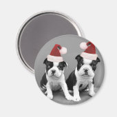 Aimant Noël Boston Terriers (Recto/Verso)