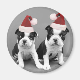 Aimant Noël Boston Terriers