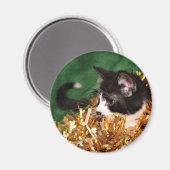 Aimant Noël de chaton de smoking (Recto/Verso)