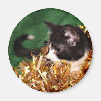 Aimant Noël de chaton de smoking