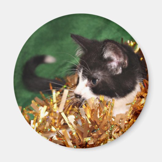 Aimant Noël de chaton de smoking (Devant)