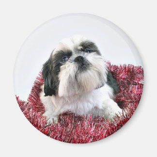Aimant Noël de Shih Tzu