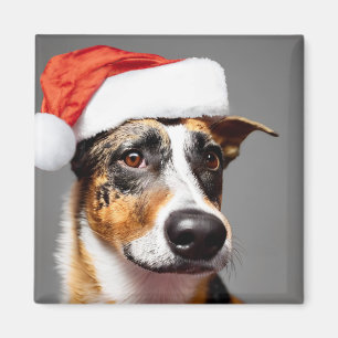 Aimant Noël du chien de bétail australien