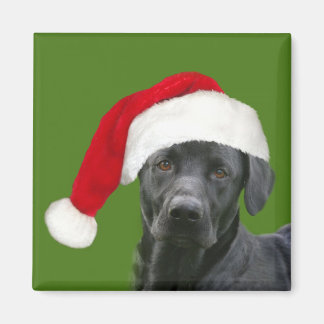 Aimant Noël du laboratoire noir