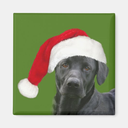 Aimant Noël du laboratoire noir (Devant)