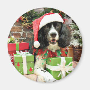 Aimant Noël - épagneul de springer anglais - Lucy