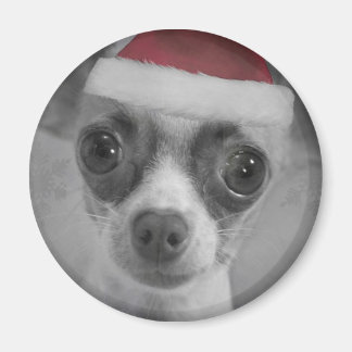 Aimant Noël Funny Chihuahua Chiuppy avec Santa Hat