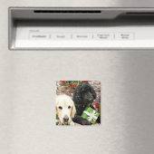 Aimant Noël - Labradoodle Miller - Golden Retriever (In Situ (Lave-vaisselle))