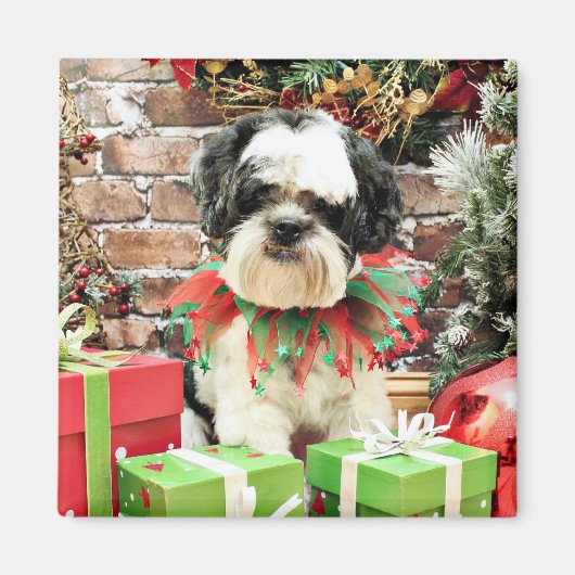 Aimant Noël - Lhassa Apso - Parker (Devant)