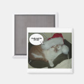 Aimant Noël Orange Tabby Chat Humbug (Recto/Verso)
