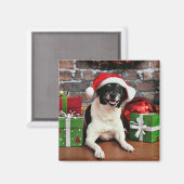 Aimant Noël - Rat Terrier - Sparky (Recto/Verso)