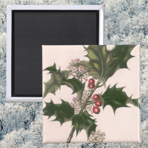 Aimant Noël vintage, plante de houx avec des baies rouges