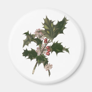 Aimant Noël vintage, plante de houx vert avec baies