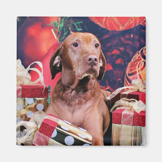 Aimant Noël - Vizsla - Budda (Devant)